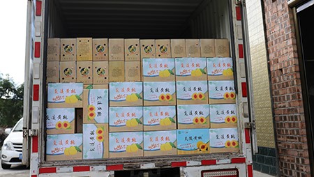 助銷黃桃社會扶貧，關(guān)愛員工送高溫福利